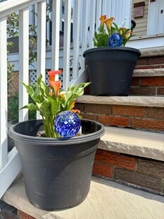 台阶上的多彩盆栽