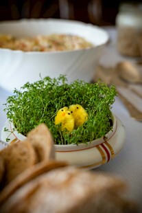 清新绿植搭配美味面包