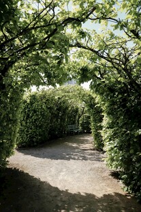 绿荫环绕的幽静小道