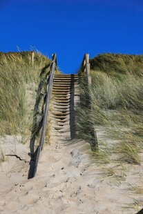 沙丘上的木质阶梯