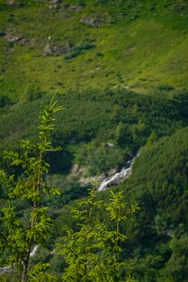 山间翠绿景色中的蜿蜒溪流