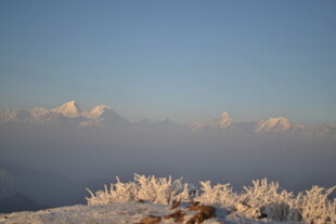 雪覆山峦 霜挂枝头美景