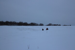 雪地中的远行者