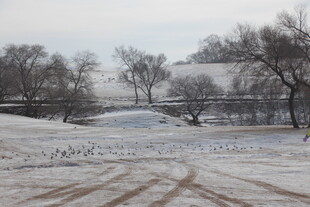 冬日雪后田野景象