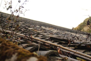 老旧铁轨上的萧瑟景象