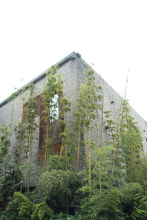 老旧建筑旁的繁茂绿植