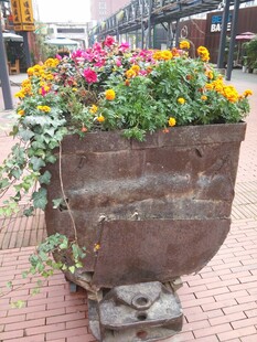 街头复古花盆装点多彩花卉