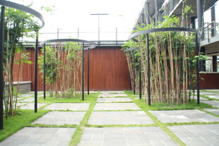 庭院绿植景观设计