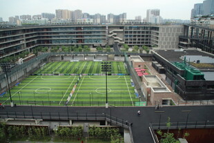 城市中的空中绿茵足球场