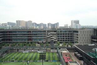 城市中带绿植的现代建筑群