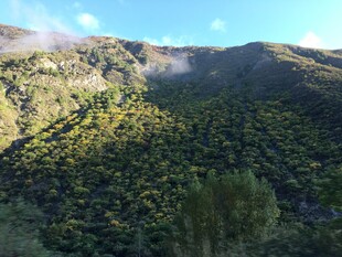 山间绿意盎然的秀丽景致