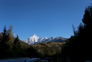 雪山映蓝天 山林相伴