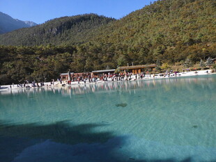 清澈湖畔的美丽自然风光