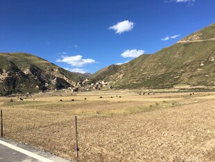 山间开阔田野风景