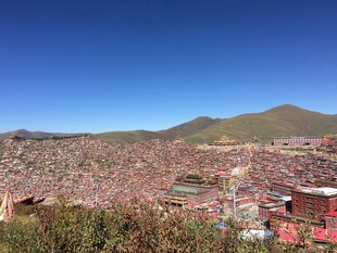 壮观佛国盛会全景