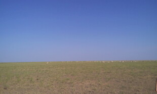 广袤草原上的晴朗蓝天