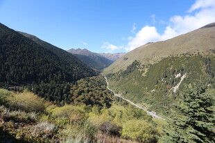 山间美景 蜿蜒公路穿行其中