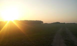 夕阳下的田野小路