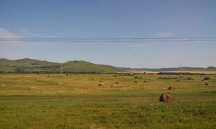 草原风光 一人悠然赏景