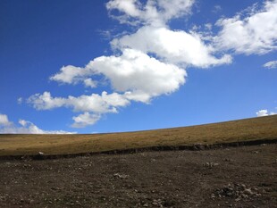 蓝天旷野风景图