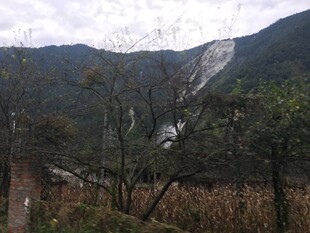 山间景色 植被与远山