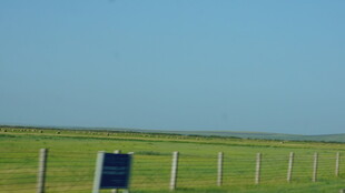 草原围栏边的蓝色标牌