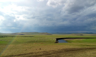 草原风光 天边云下小水洼