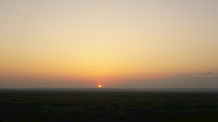 草原上的绝美落日景观