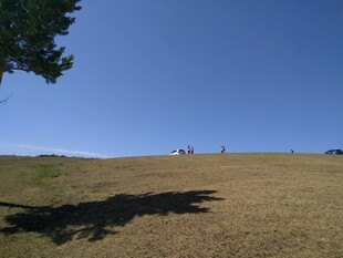 开阔草地蓝天风景图