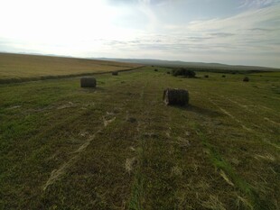 田野中的草垛景观