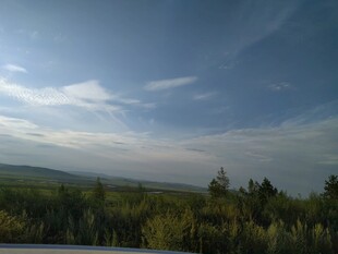 蓝天绿树的自然美景