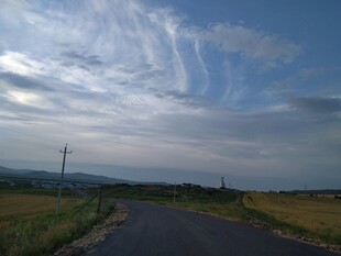 乡间公路 蓝天白云田野景