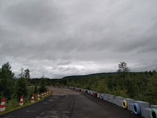 阴天下的林间公路