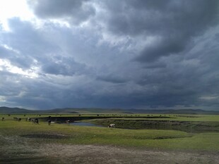 乌云笼罩下的广袤草原