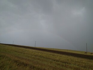 阴天下的广袤田野