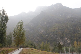 山间雾景中的蜿蜒小路