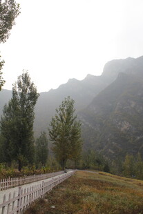 山间小径 雾霭中的自然景致