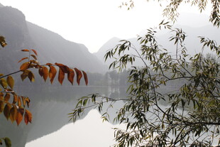 山水间秋景 枝叶映湖光