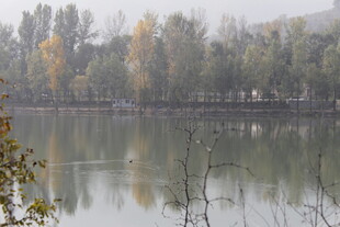 湖畔秋景 雾霭中的宁静风光