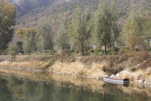 河畔秋景 静美自然风光