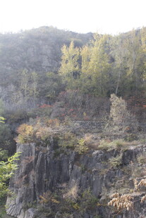 陡峭山崖边的秋日景致