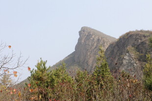巍峨山峰与周边植被景观