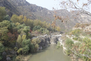 山间河流与繁茂植被景观