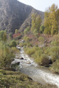 山间溪流 秋色中的自然美景