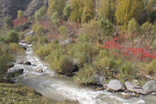 山间溪流秋色美景