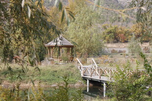 乡村小桥凉亭秋日美景