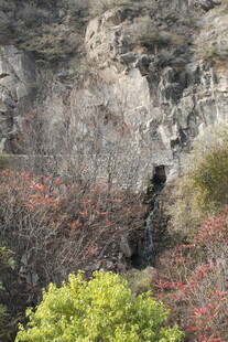 山间多彩植被与岩石景观