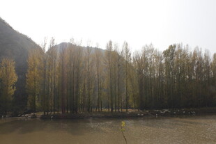 秋日山林旁的开阔水域