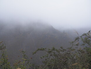 山间云雾缭绕的植被景观
