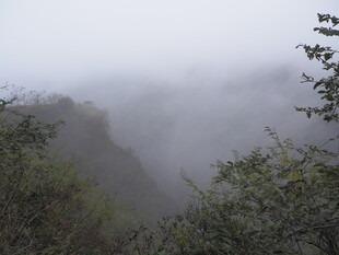 山间云雾缭绕的朦胧景致